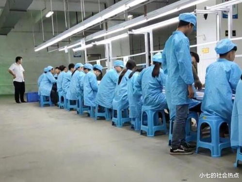 在深圳过年的别样体验 技术交流合作的机遇